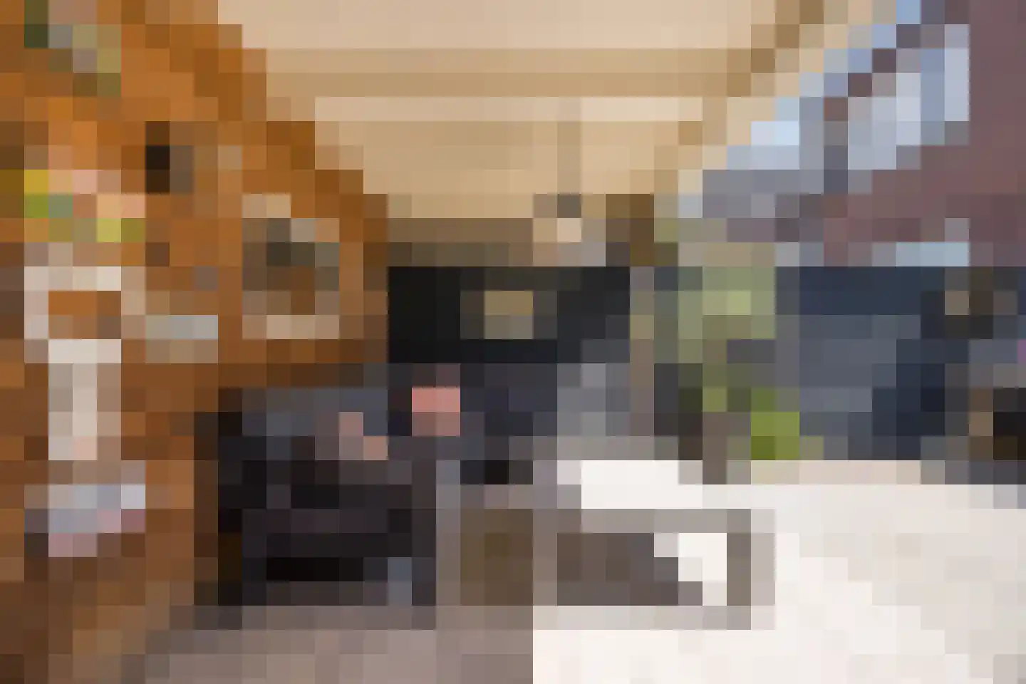 Dijkstraat 40 Breda thumbnail 35