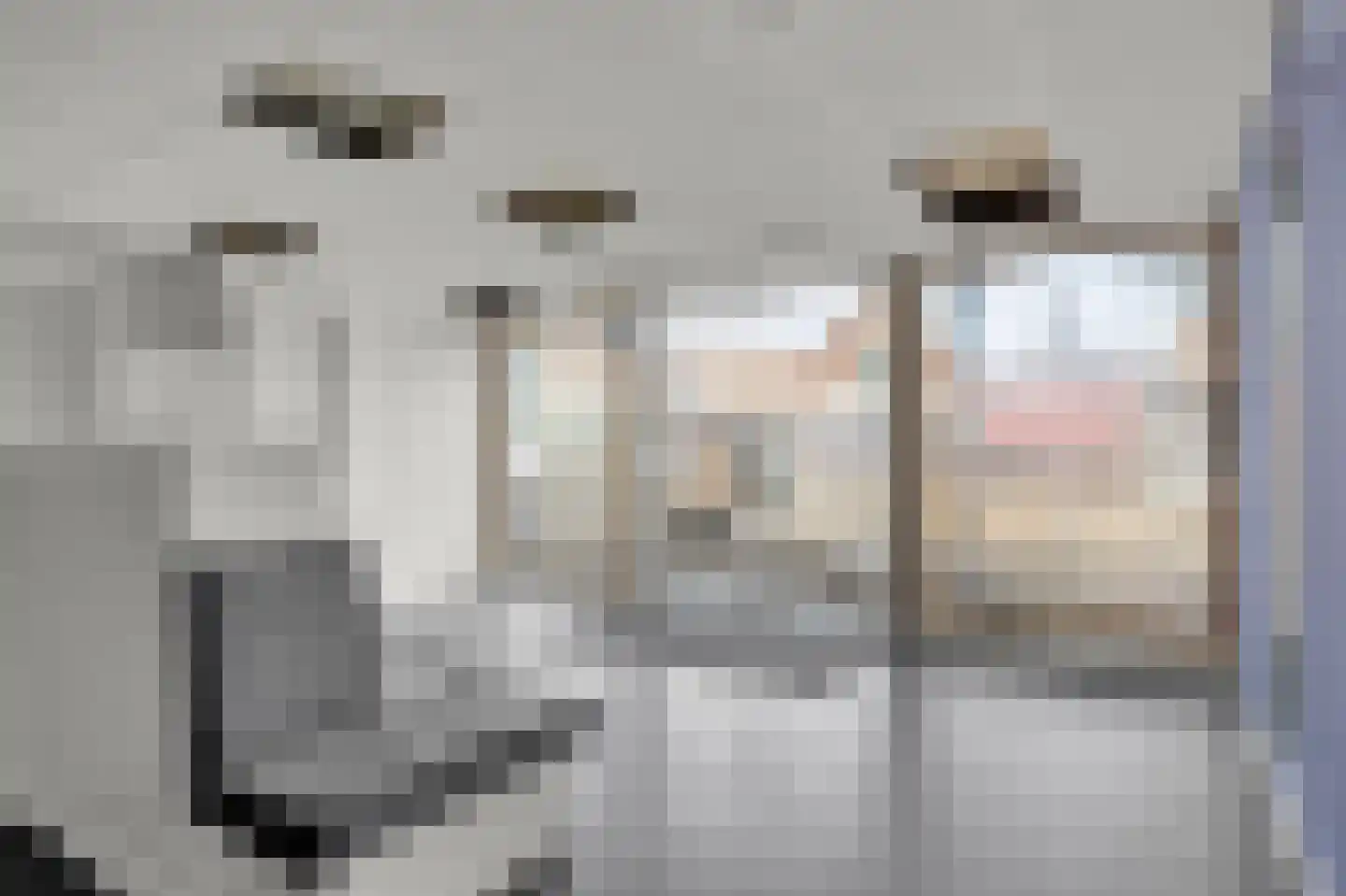 Dijkstraat 41 Bolsward thumbnail 4