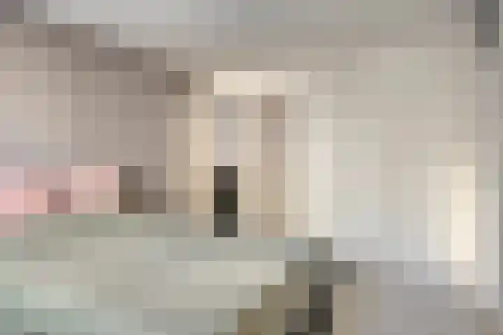 Dijkstraat 43 Terneuzen thumbnail 13