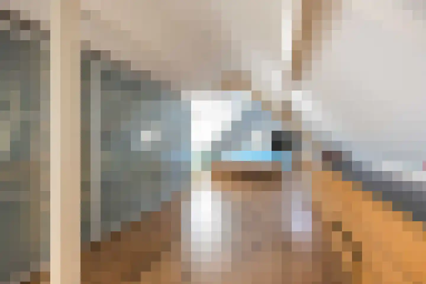Dijkstraat 45 Franeker thumbnail 42