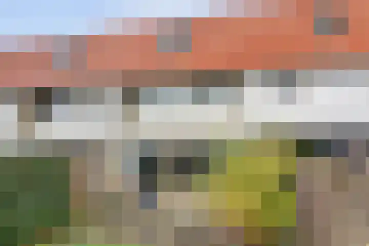Dijkstraat 45 Gendt thumbnail 17