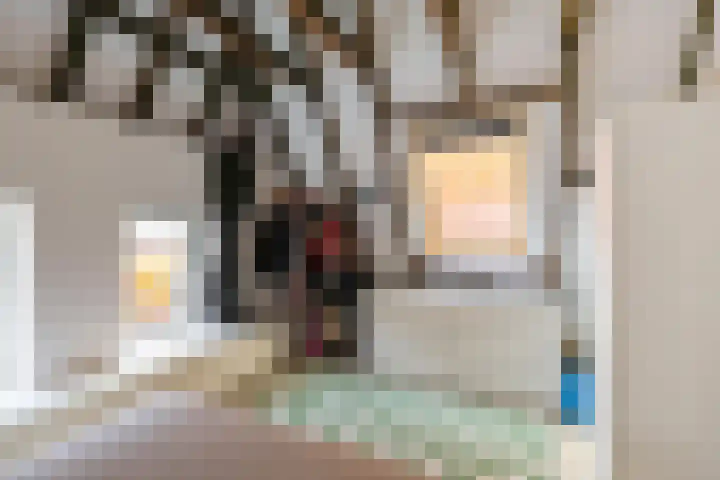 Dijkstraat 47 Appingedam thumbnail 39
