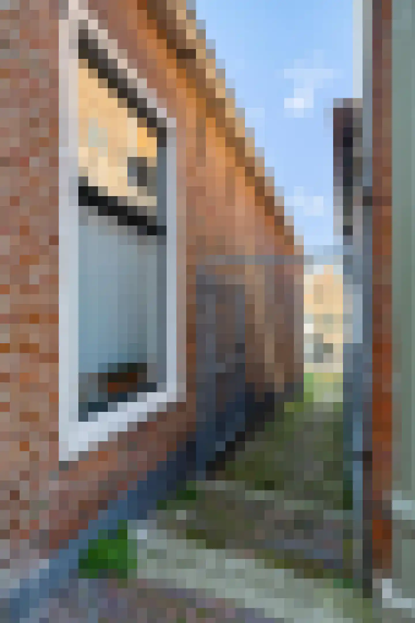 Dijkstraat 47 Appingedam thumbnail 47