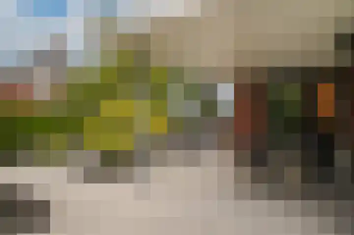 Dijkstraat 49 Beneden-Leeuwen thumbnail 18