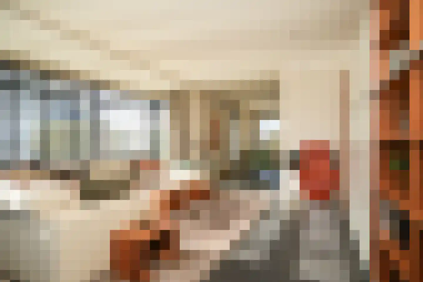 Dijkstraat 49 Beneden-Leeuwen thumbnail 4