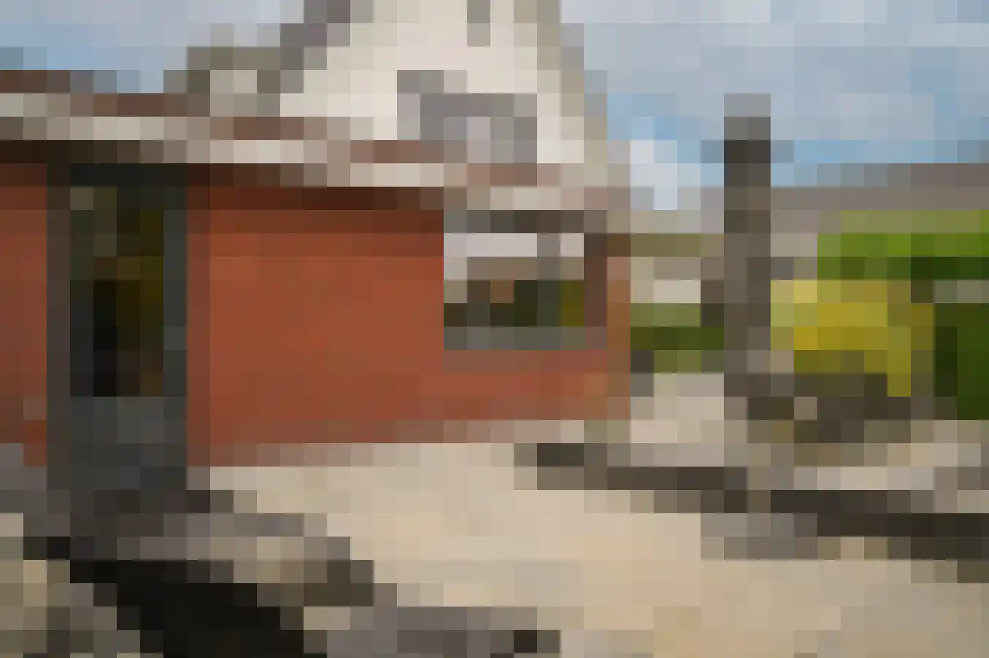 Dijkstraat 49 Beneden-Leeuwen thumbnail 50