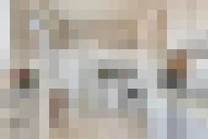 Dijkstraat 5 Bruinisse thumbnail 13