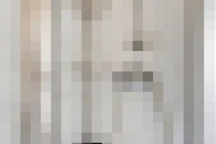 Dijkstraat 5 Bruinisse thumbnail 15