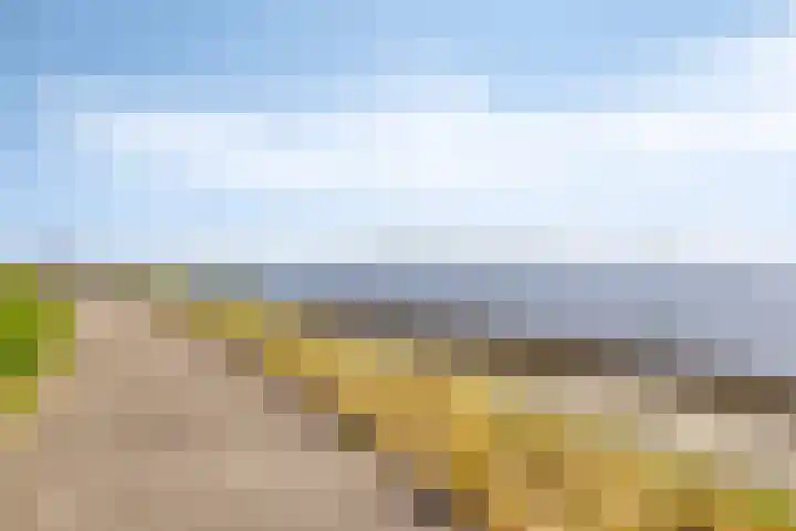 Dijkstraat 5 Bruinisse thumbnail 34