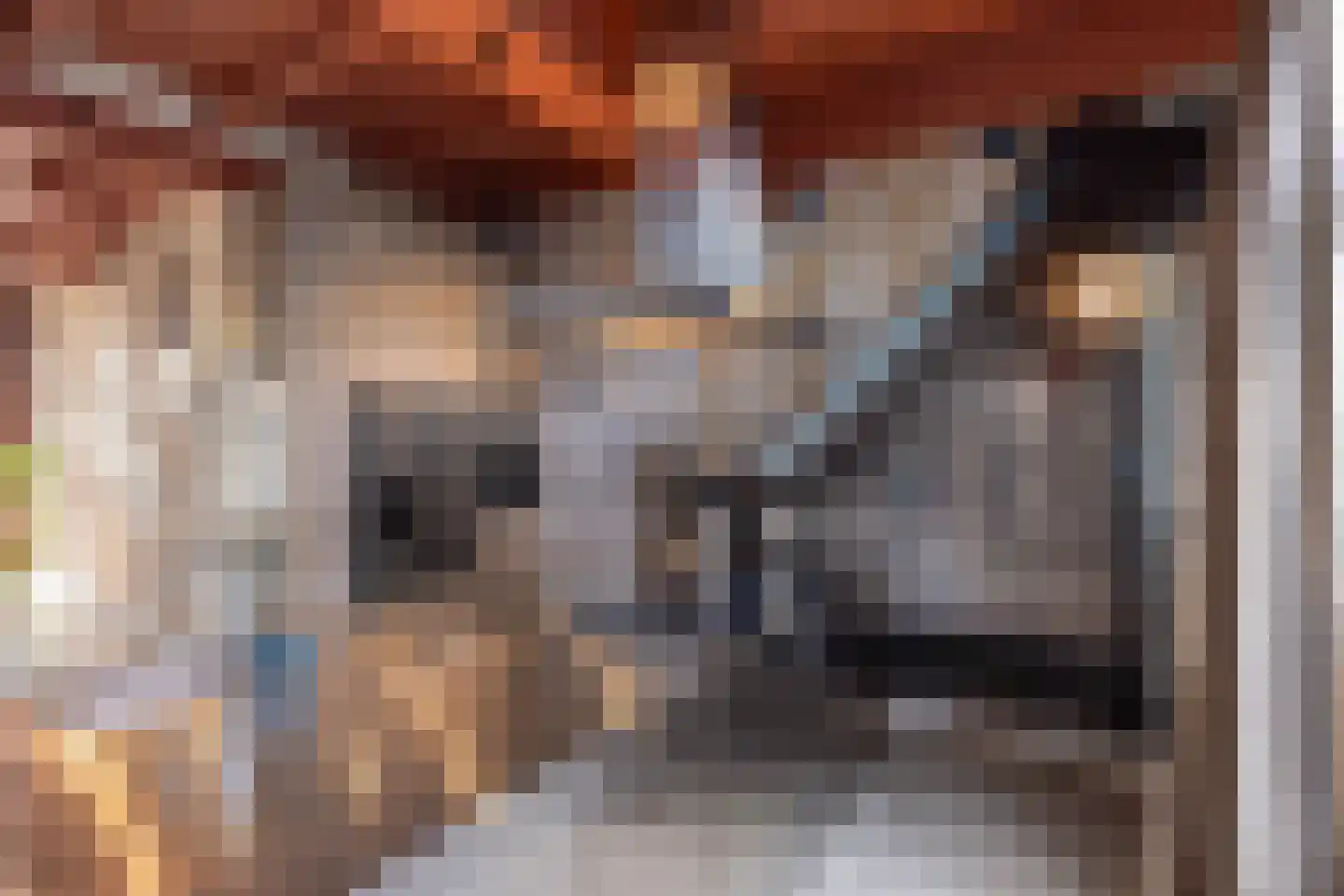 Dijkstraat 5 Wijk bij Duurstede thumbnail 16