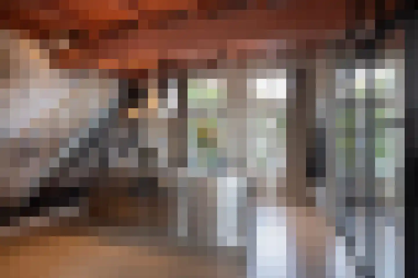 Dijkstraat 5 Wijk bij Duurstede thumbnail 17