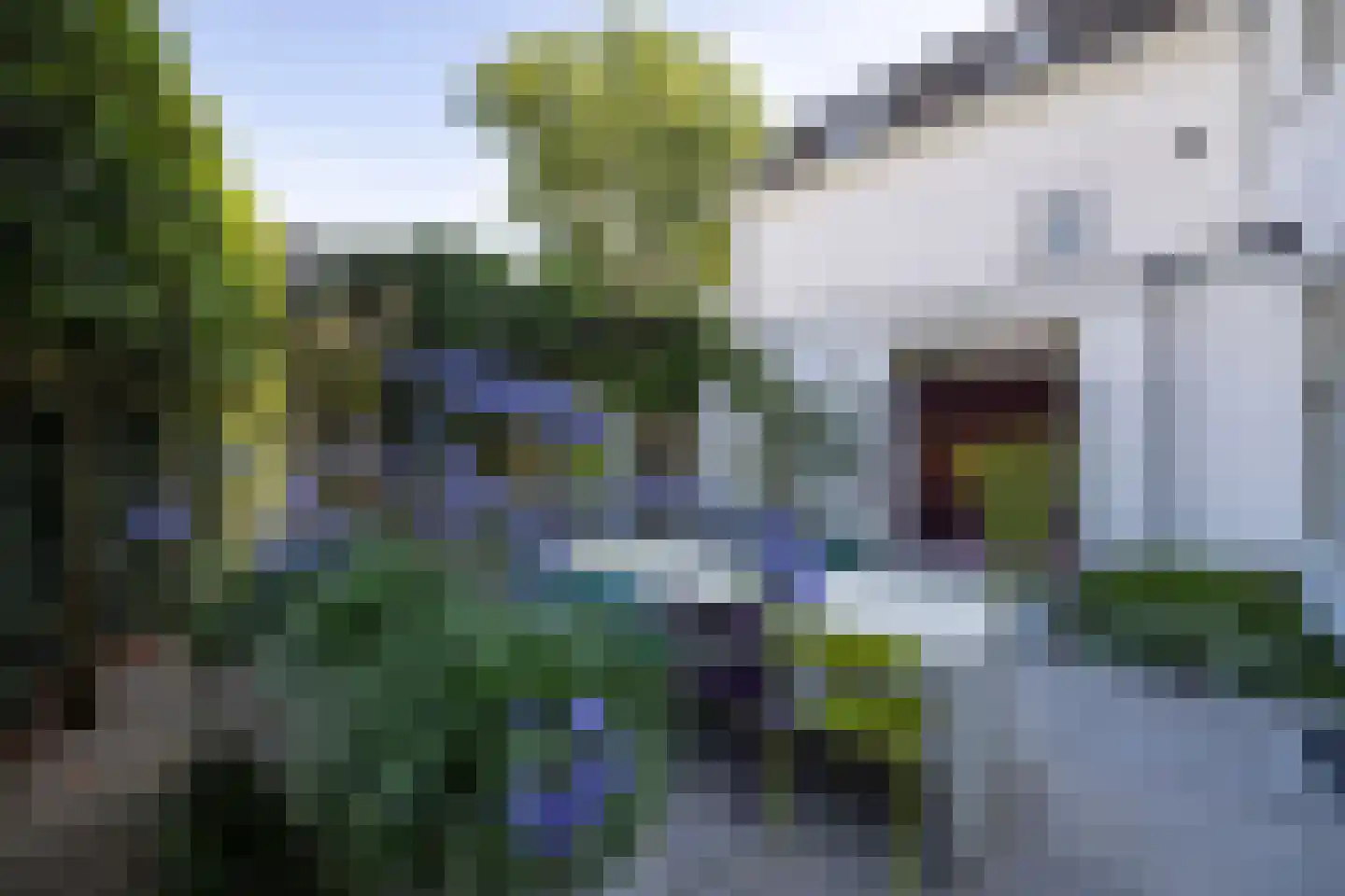 Dijkstraat 5 Wijk bij Duurstede thumbnail 19