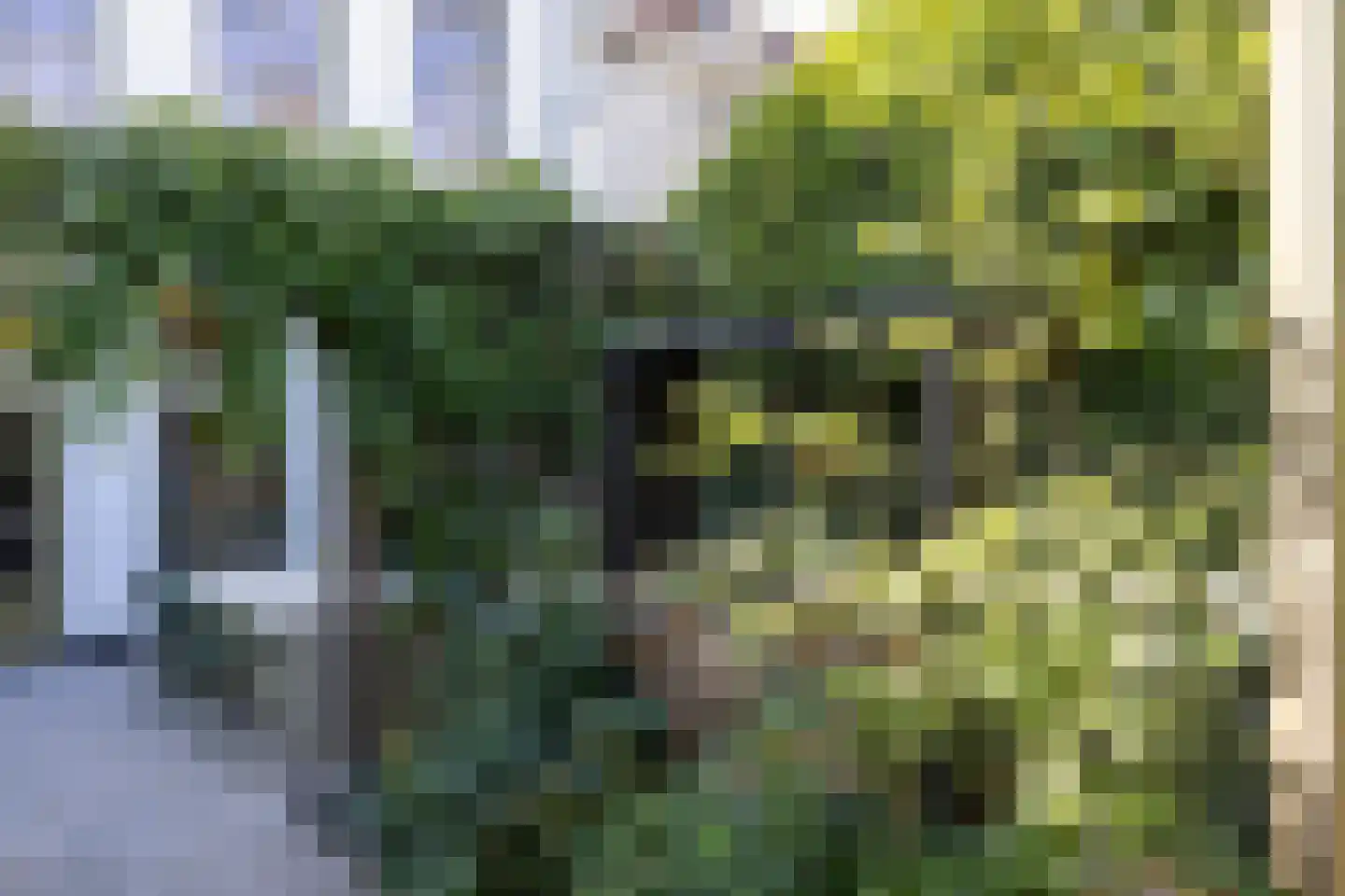 Dijkstraat 5 Wijk bij Duurstede thumbnail 43