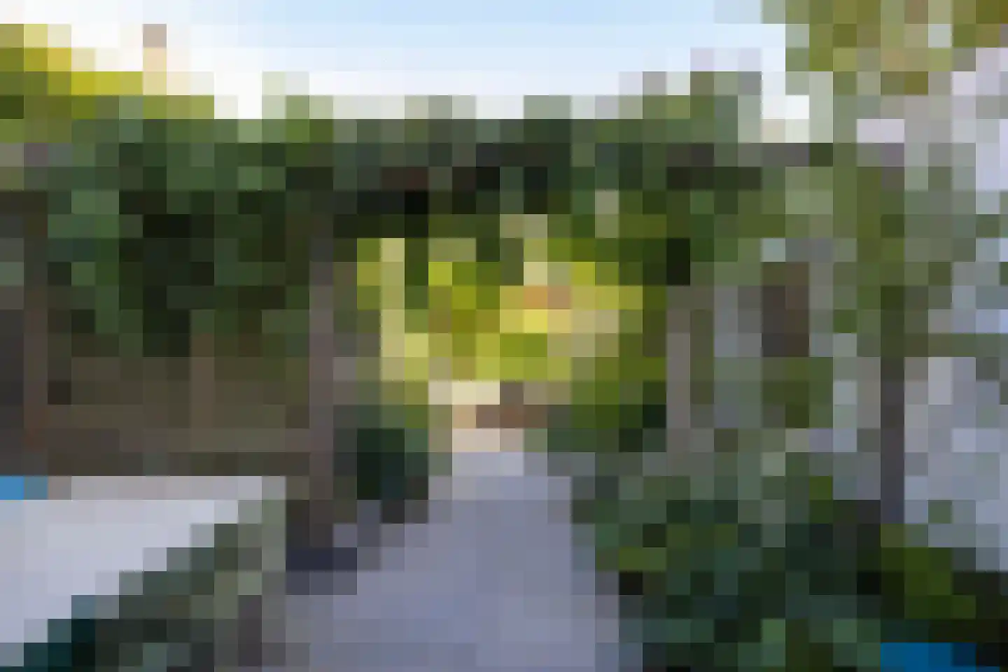 Dijkstraat 5 Wijk bij Duurstede thumbnail 45