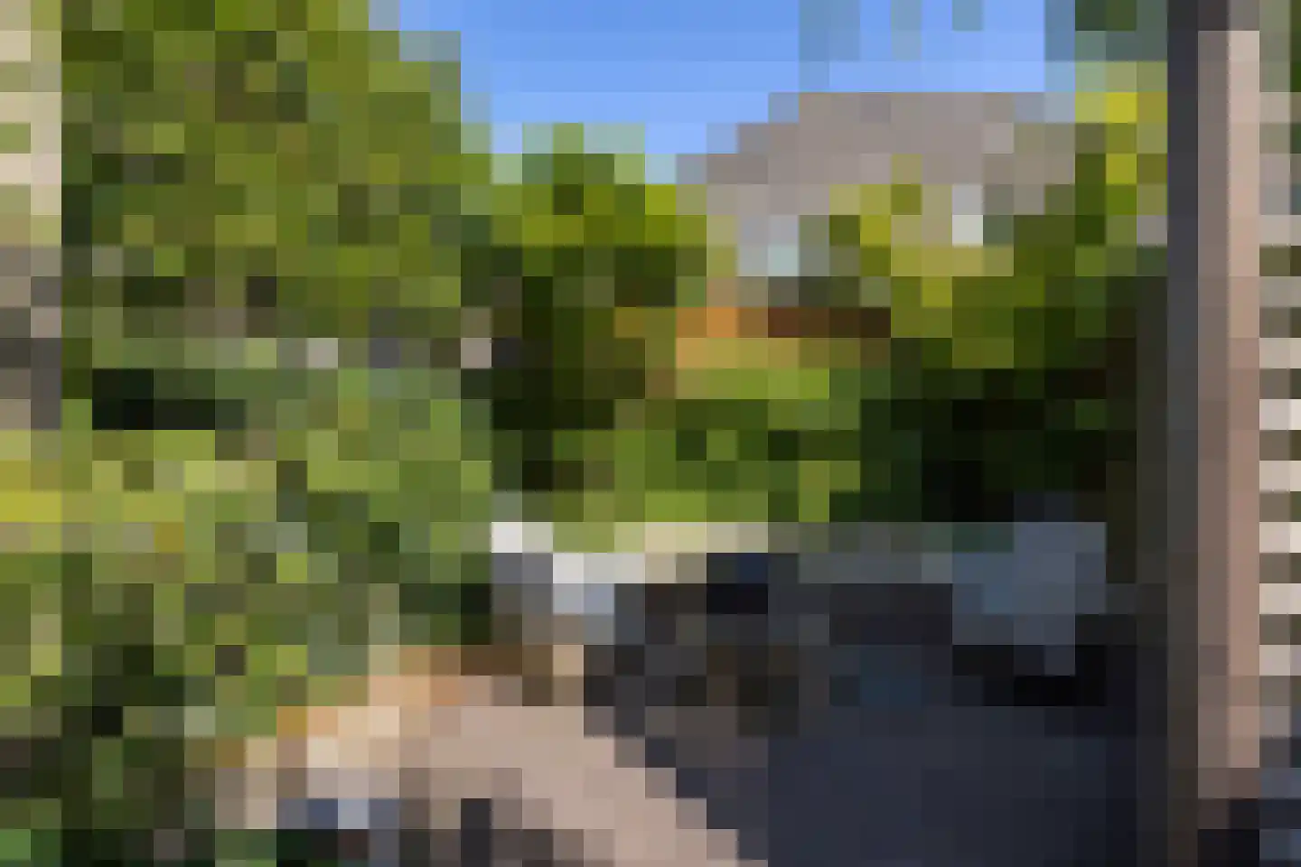 Dijkstraat 5 Wijk bij Duurstede thumbnail 46