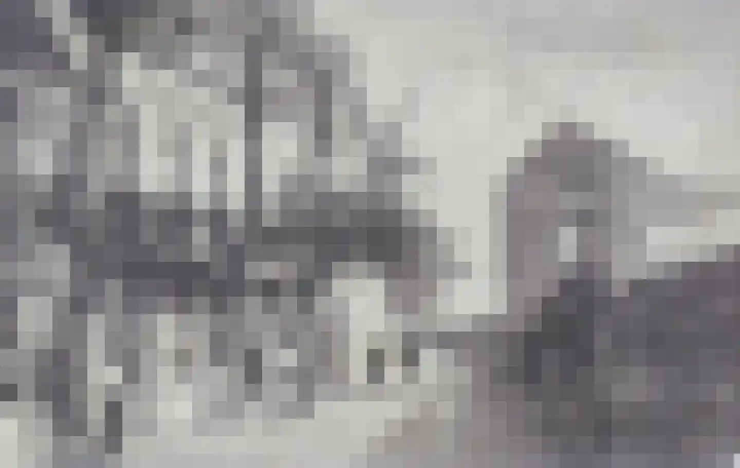 Dijkstraat 5 Wijk bij Duurstede thumbnail 6