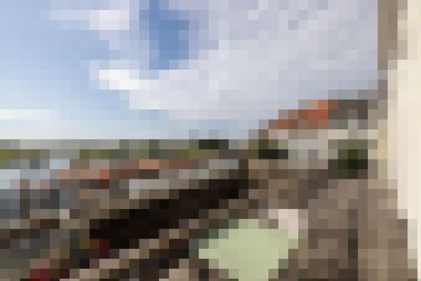 Dijkstraat 5 Wijk bij Duurstede thumbnail 9