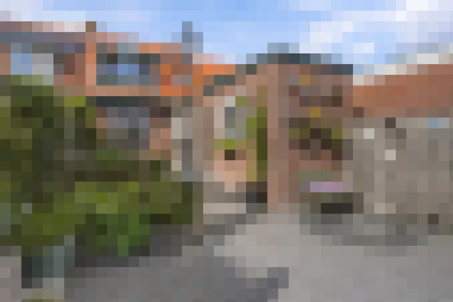 Dijkstraat 53 Oost-Souburg foto 3