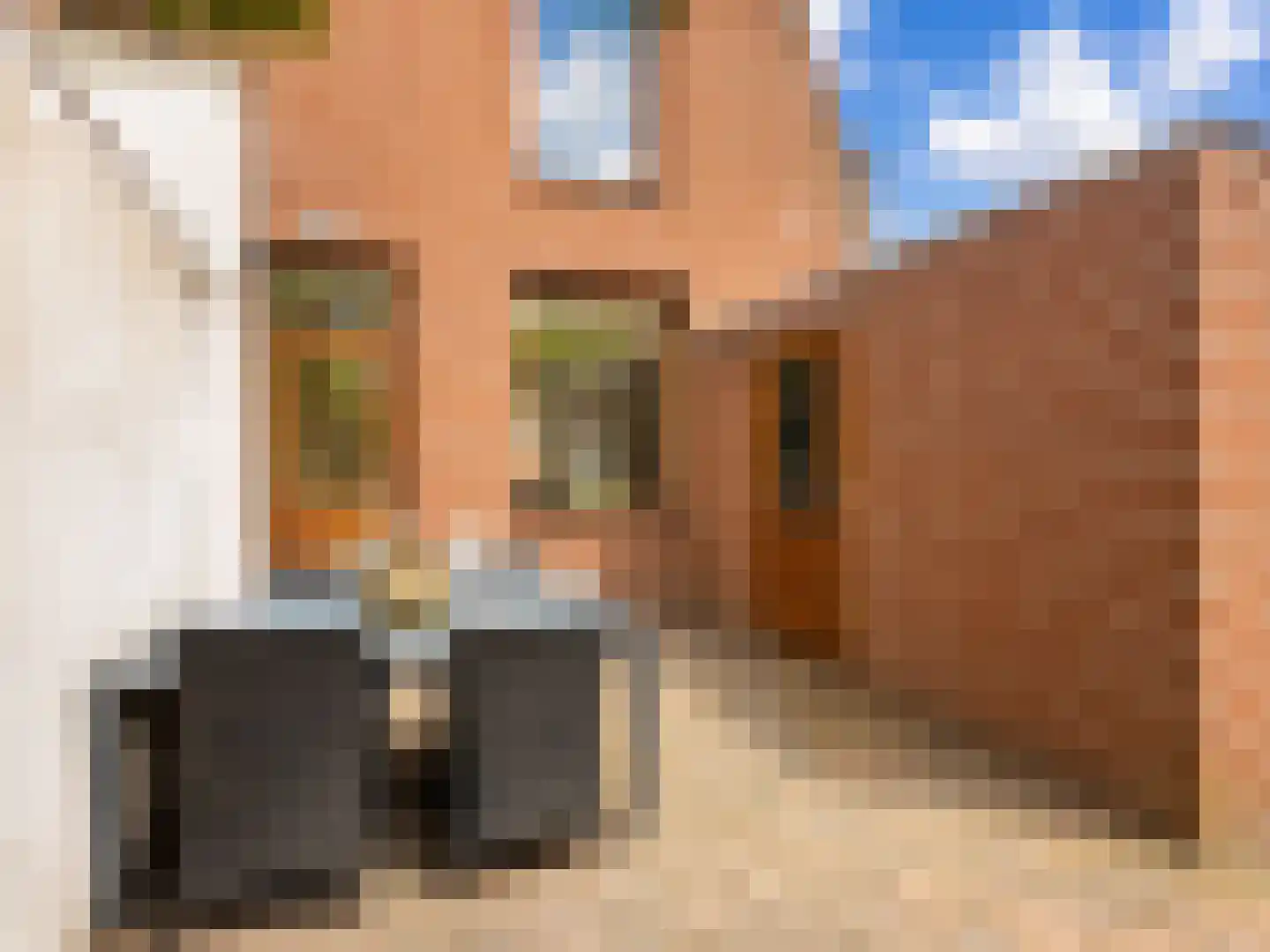 Dijkstraat 55 Terneuzen thumbnail 23