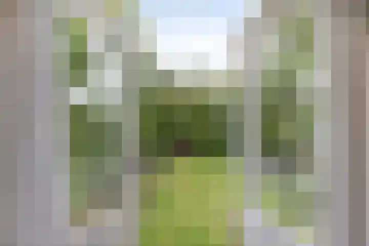 Dijkstraat 6 Asten thumbnail 27