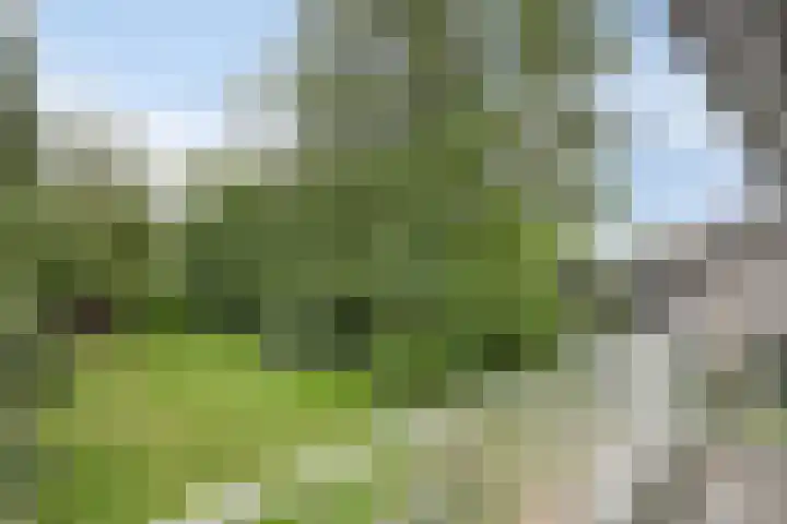 Dijkstraat 6 Asten thumbnail 28