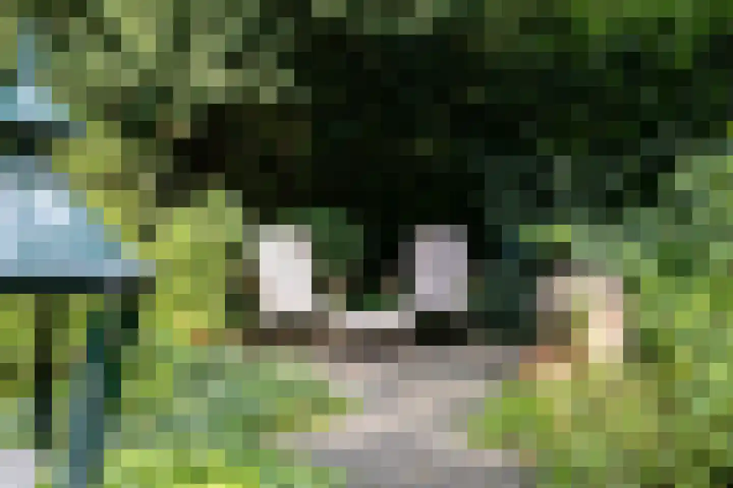 Dijkstraat 6 Asten thumbnail 30
