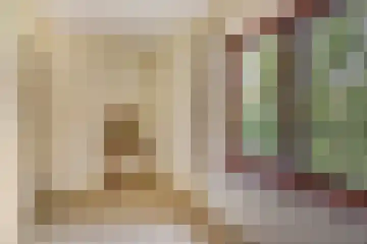 Dijkstraat 6 Asten thumbnail 31