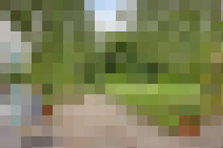 Dijkstraat 6 Asten thumbnail 35