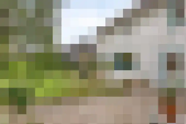 Dijkstraat 6 Asten thumbnail 36