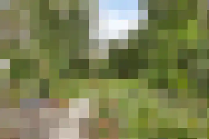 Dijkstraat 6 Asten thumbnail 39