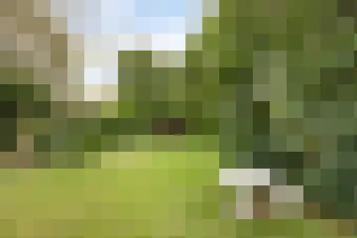 Dijkstraat 6 Asten thumbnail 40