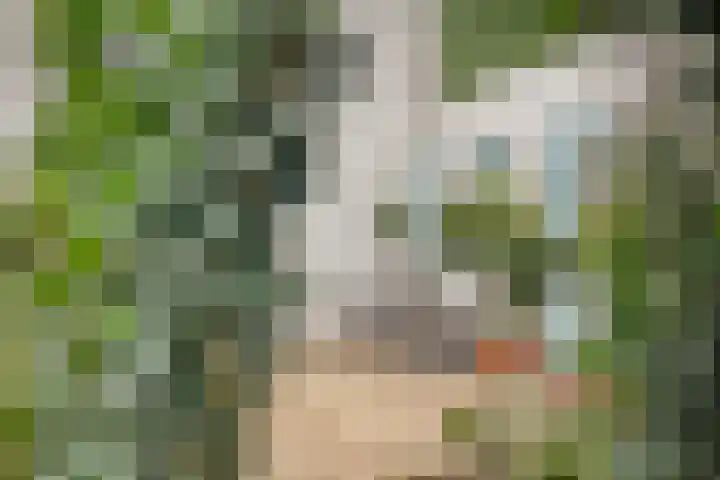 Dijkstraat 6 Asten thumbnail 46