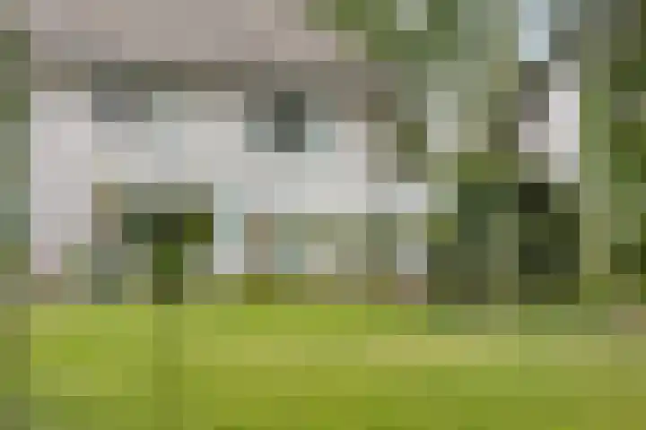 Dijkstraat 6 Asten thumbnail 48