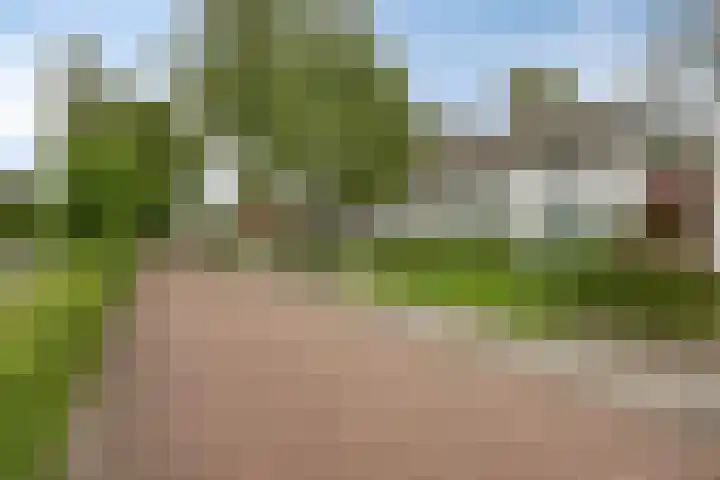Dijkstraat 6 Asten thumbnail 52