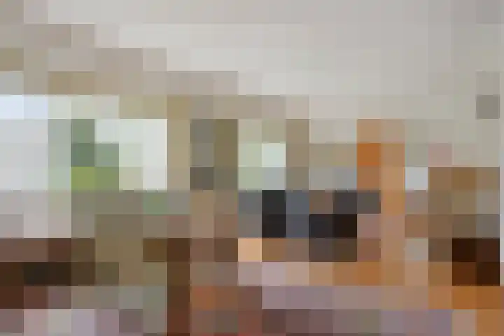 Dijkstraat 6 Asten thumbnail 8