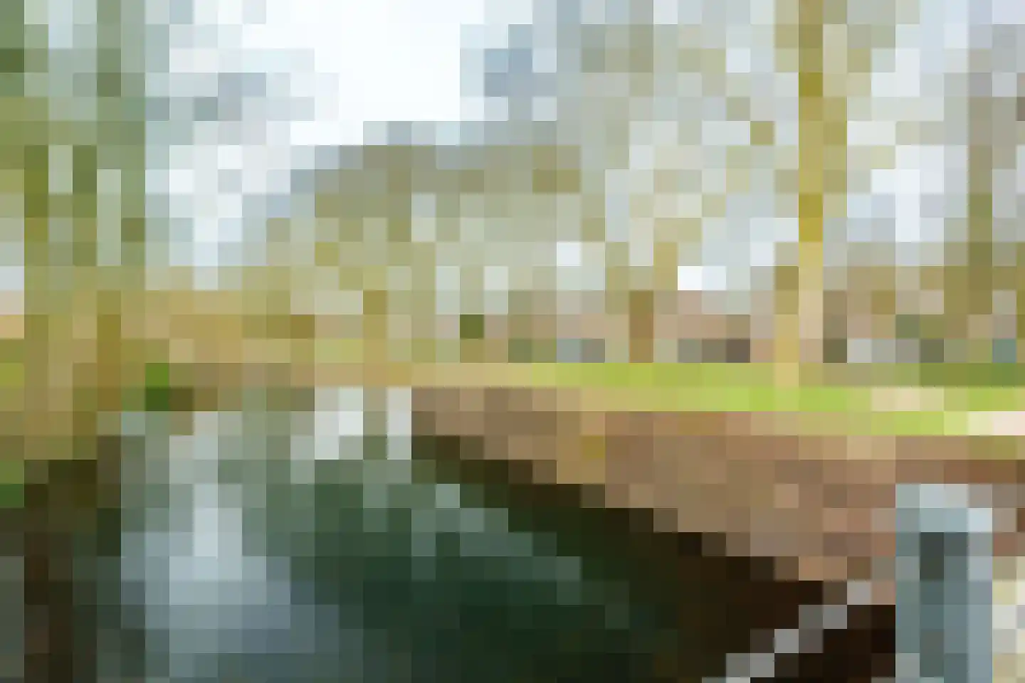 Dijkstraat 6 III Wageningen thumbnail 27