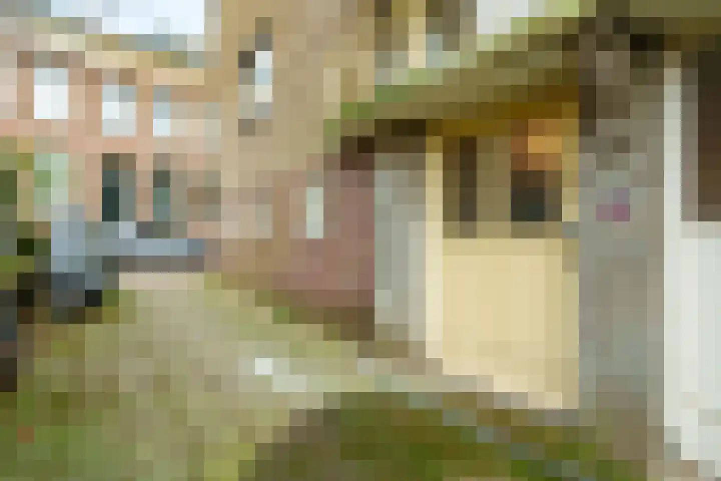 Dijkstraat 6 III Wageningen thumbnail 4