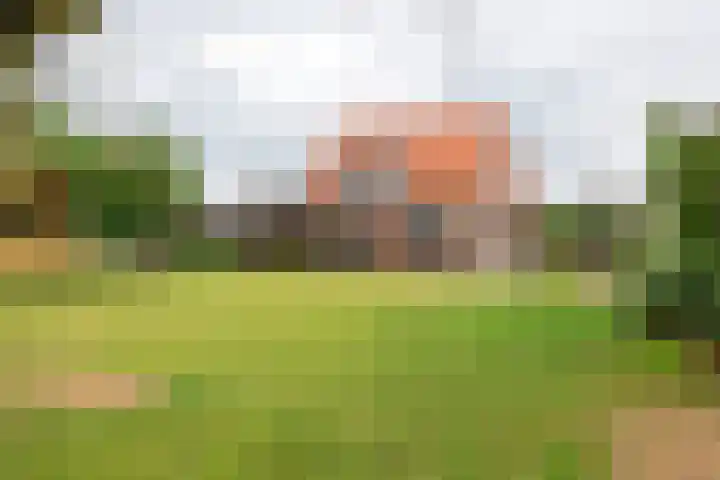 Dijkstraat 6 Ophemert