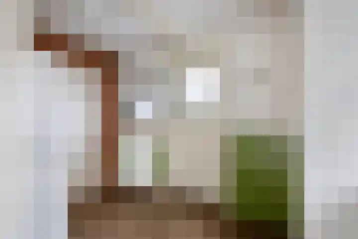 Dijkstraat 6 Ophemert thumbnail 13