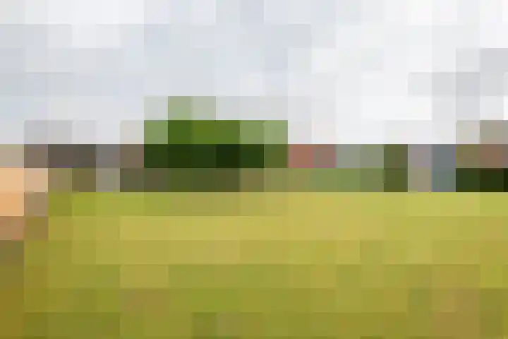Dijkstraat 6 Ophemert thumbnail 18