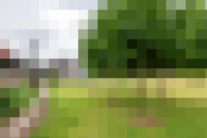 Dijkstraat 6 Ophemert thumbnail 19