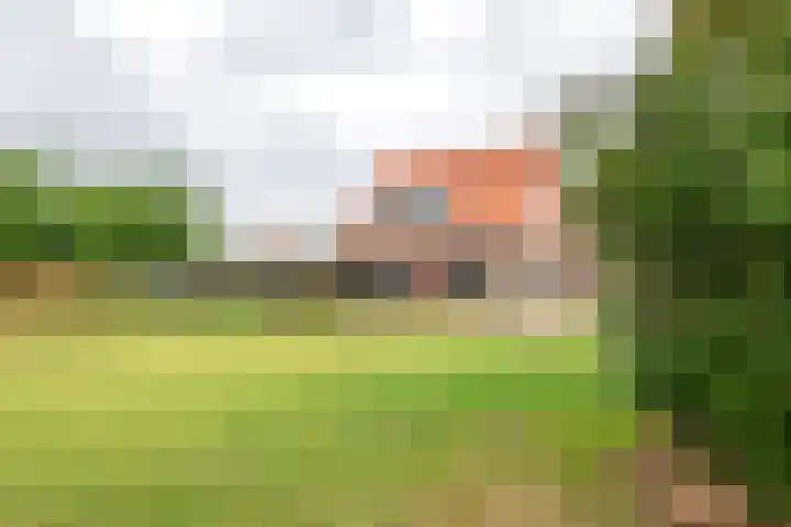 Dijkstraat 6 Ophemert thumbnail 20
