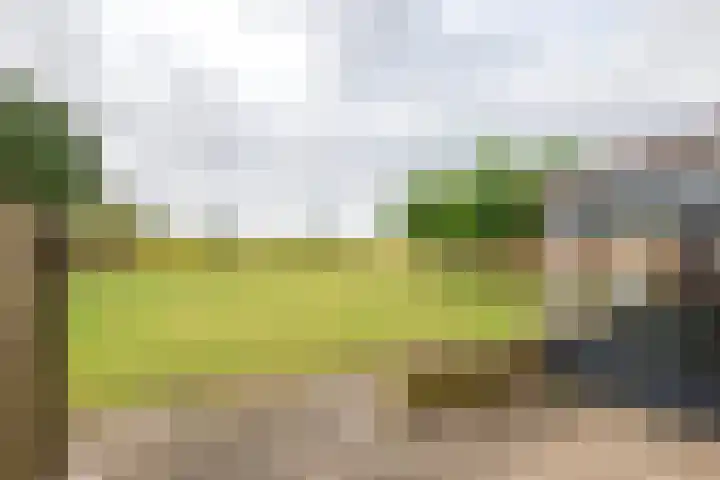 Dijkstraat 6 Ophemert thumbnail 21