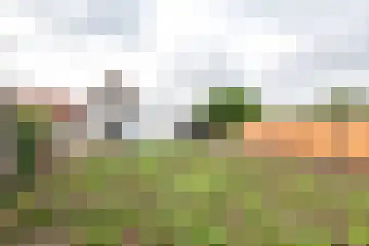 Dijkstraat 6 Ophemert thumbnail 23