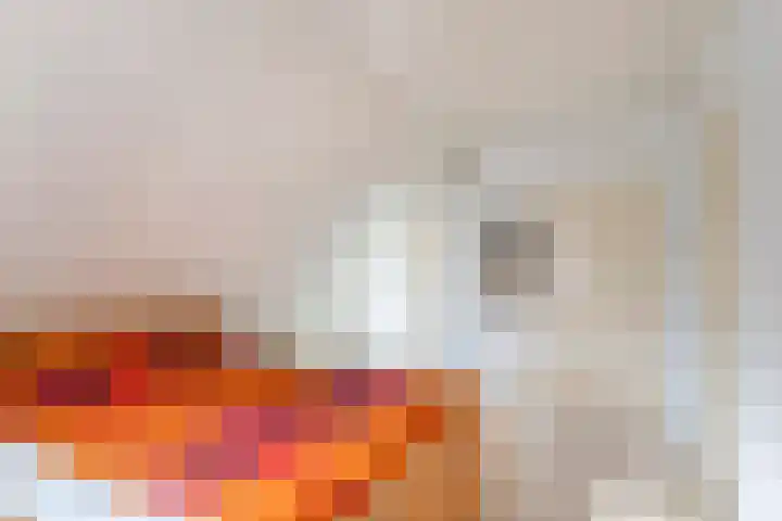 Dijkstraat 6 Ophemert thumbnail 26