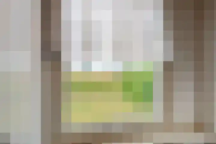 Dijkstraat 6 Ophemert thumbnail 30