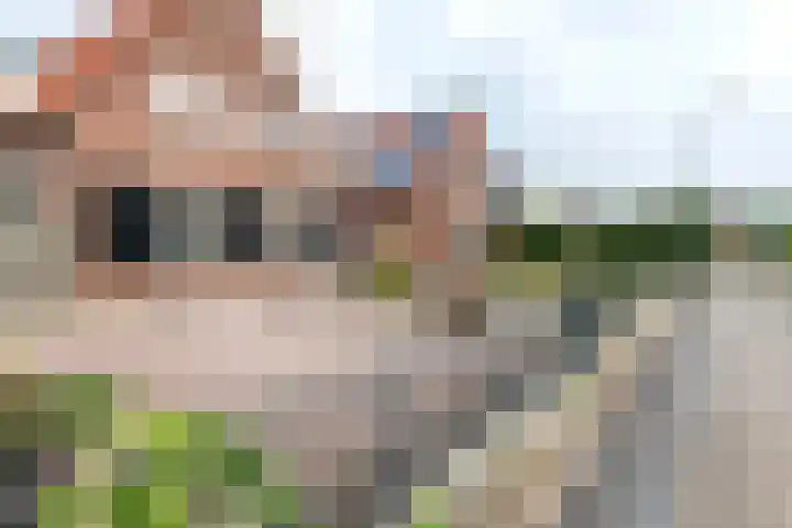 Dijkstraat 6 Ophemert thumbnail 34