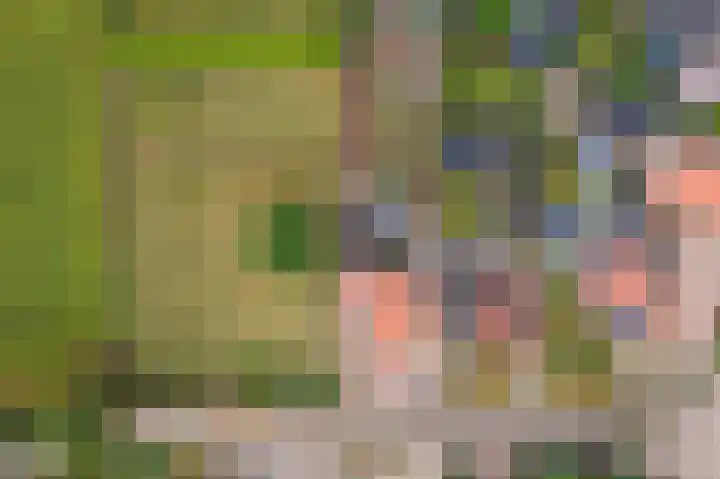 Dijkstraat 6 Ophemert thumbnail 36