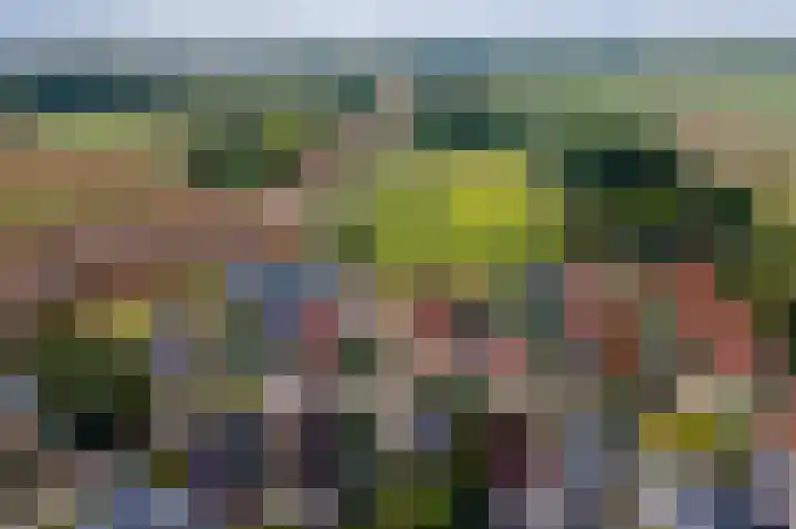 Dijkstraat 6 Ophemert thumbnail 38