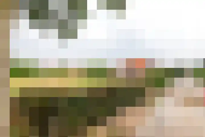 Dijkstraat 6 Ophemert thumbnail 4
